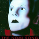photo du film The Nomi song