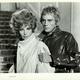Voir les photos de Terence Stamp sur bdfci.info