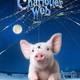 photo du film Le Petit monde de Charlotte