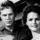 Voir les photos de Steve McQueen (I) sur bdfci.info