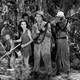 photo du film Le Trésor de Tarzan