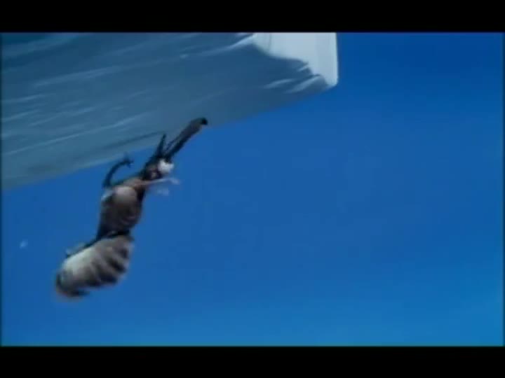 Extrait vidéo du film  L âge de glace 2