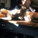 photo du film Le Facteur sonne toujours deux fois