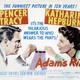 photo du film Madame porte la culotte