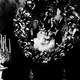 photo du film Madame Bovary