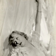 Voir les photos de Carole Lombard sur bdfci.info