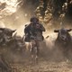 photo du film Jumanji : Bienvenue dans la jungle