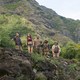 photo du film Jumanji : Bienvenue dans la jungle