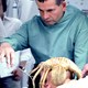 photo du film Alien - Le 8ème passager
