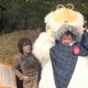 photo du film Breakfast on Pluto