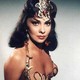 photo de Gina Lollobrigida