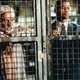 photo du film Instinct