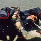 photo du film Fous d'Irène