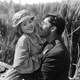 photo du film L'Aurore