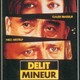 photo du film Délit mineur
