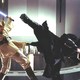 photo du film Star Wars : Épisode I - La Menace fantôme