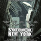photo du film Synecdoche, New York