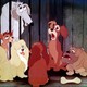 photo du film La Belle et le Clochard