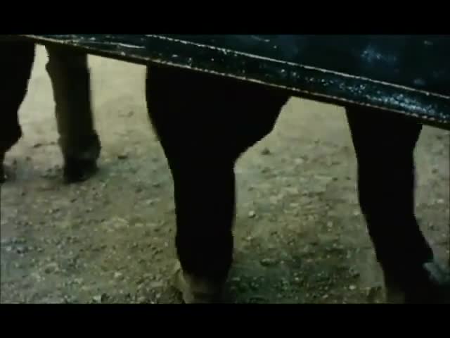 Extrait vidéo du film  Le Tableau noir