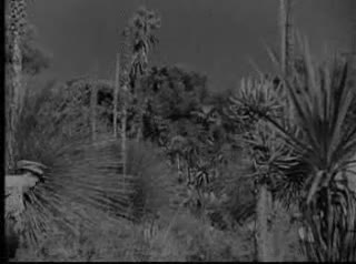 Extrait vidéo du film  Escale