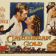 photo du film Le Trésor des Caraibes