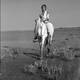 photo du film Crin Blanc