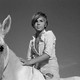 photo du film Crin Blanc