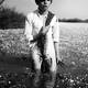 photo du film Crin Blanc