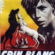photo du film Crin Blanc