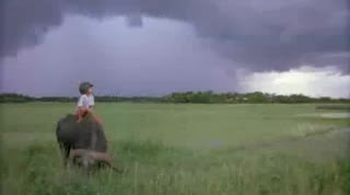 Extrait vidéo du film  La Déchirure