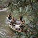 photo du film Délivrance