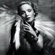 Voir les photos de Marlene Dietrich sur bdfci.info
