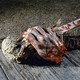photo du film Evil Dead