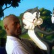 photo du film Space Jam