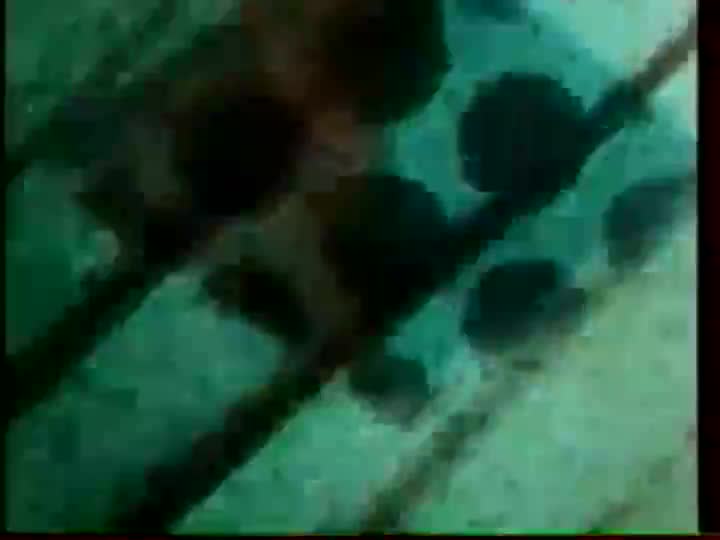 Extrait vidéo du film  Kaleidoscope