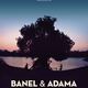 photo du film Banel & Adama