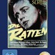 photo du film Les Rats