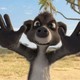 photo du film Animaux et Cie