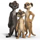 photo du film Animaux et Cie