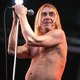 Voir les photos de Iggy Pop sur bdfci.info