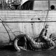 photo du film L'étrange créature du lac noir