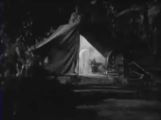 Un extrait du film  L étrange créature du lac noir