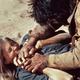 Voir les photos de Candice Bergen sur bdfci.info