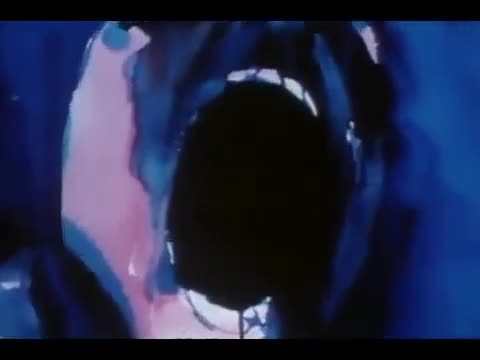 Extrait vidéo du film  Pink Floyd The Wall