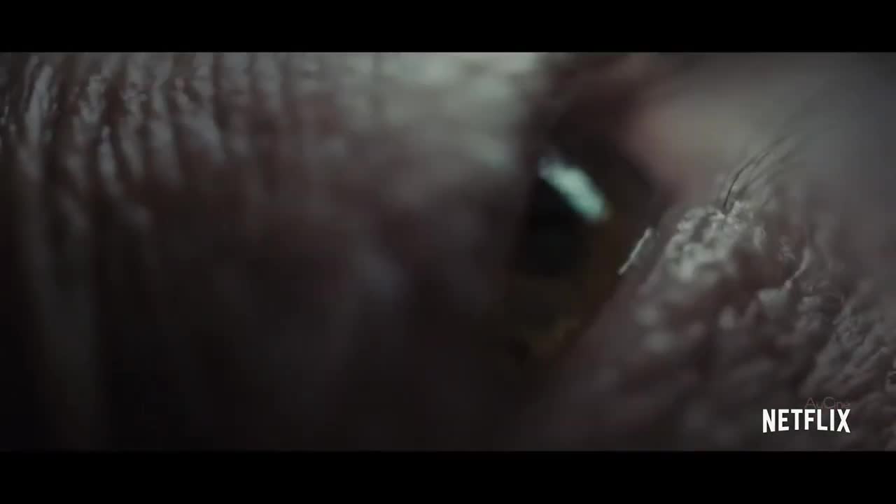 Extrait vidéo du film  La Plateforme