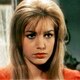 Voir les photos de Catherine Spaak sur bdfci.info