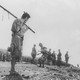 photo du film Les 7 Samouraïs