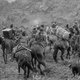 photo du film Les 7 Samouraïs