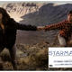 photo du film Starman