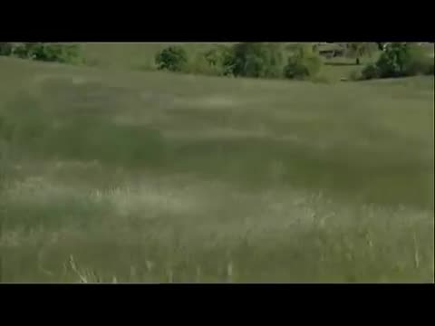 Extrait vidéo du film  Witness